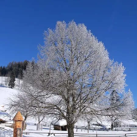 아파트 Romantikzimmer Jakobbauer Turnau