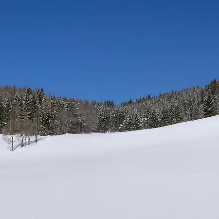 아파트 Romantikzimmer Jakobbauer *