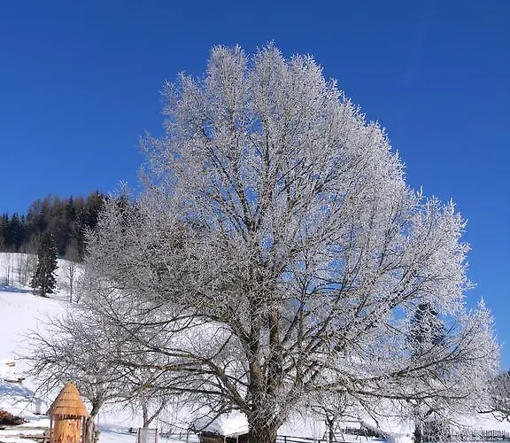 Lejlighed Romantikzimmer Jakobbauer Turnau