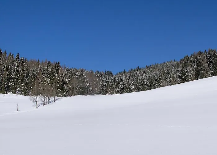 Apartmán Romantikzimmer Jakobbauer *